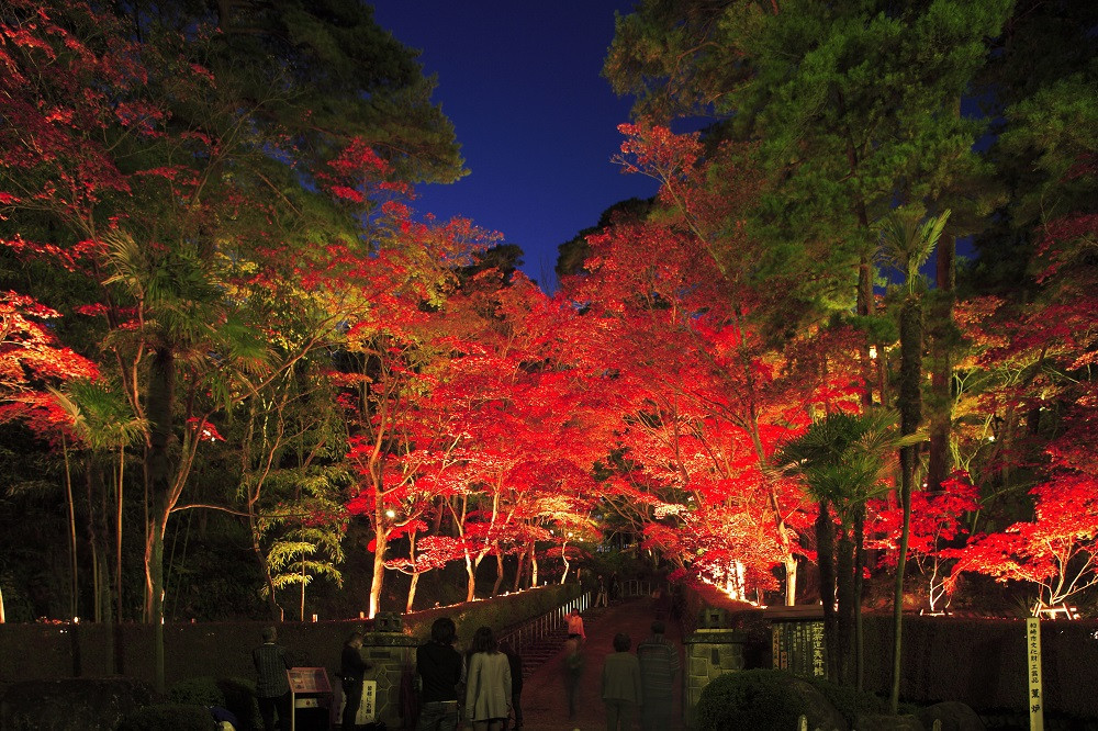 松雲山荘の紅葉ライトアップ