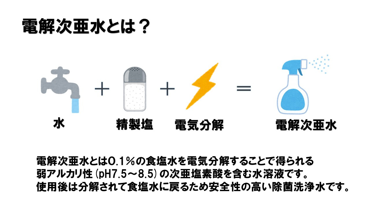 AE039除菌洗浄水 電解次亜水（次亜塩素酸含有食塩水） 1L×4本 - 長崎県