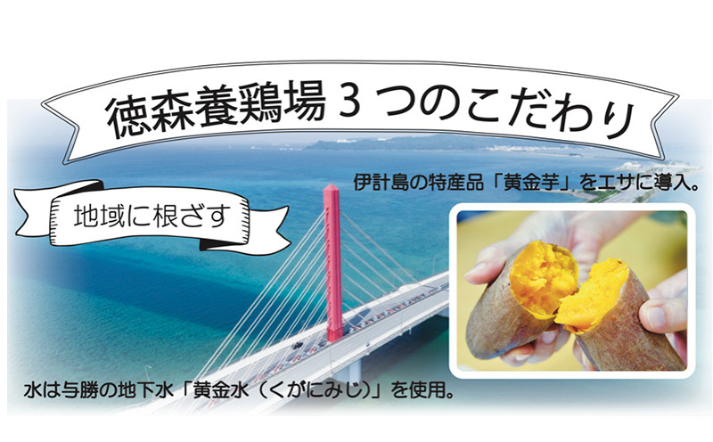 くがにたまご【24個入り×2箱】徳森養鶏場 - 沖縄県うるま市｜ふるさと