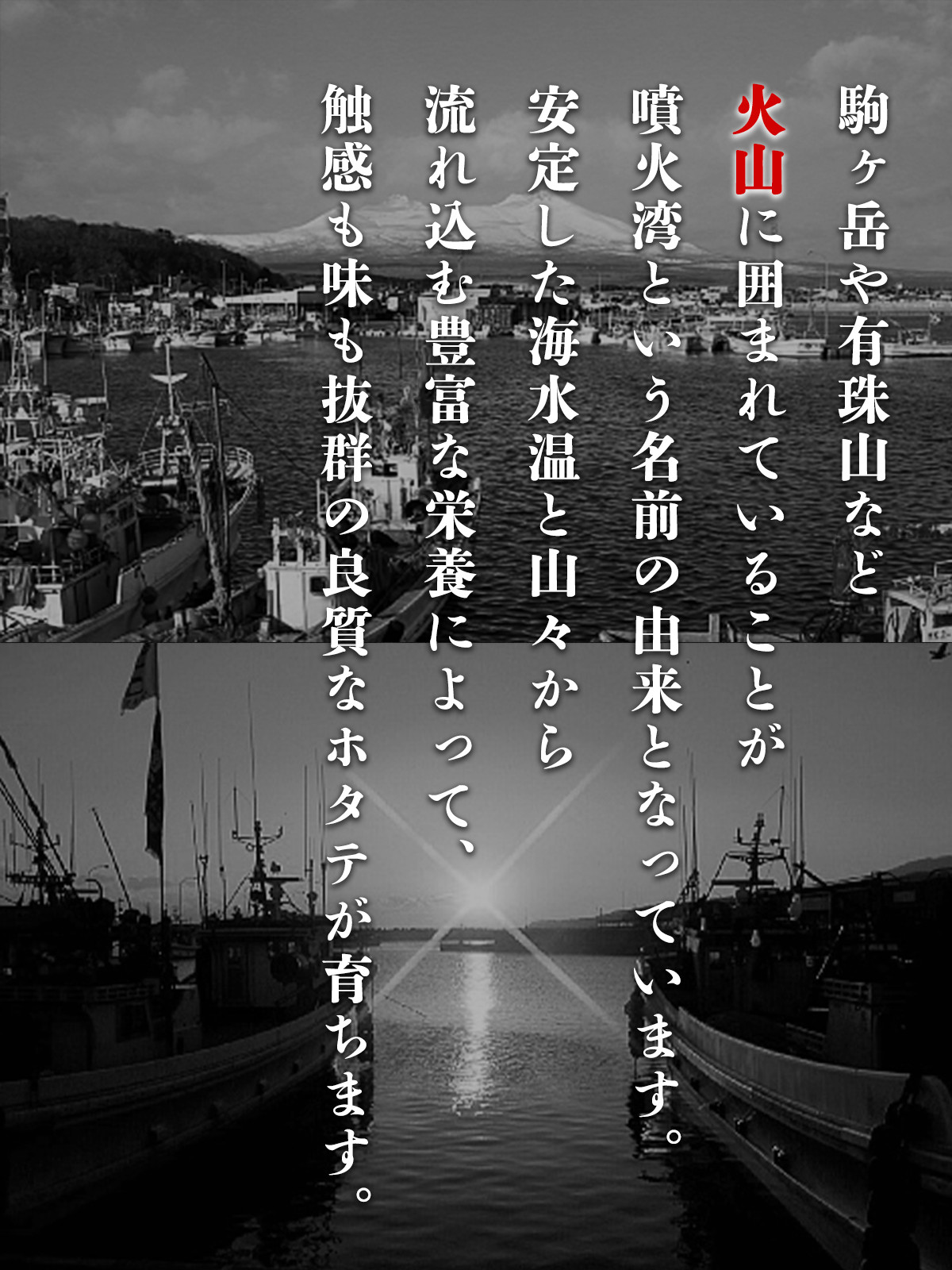 北海道産 ボイルベビーホタテ Ssサイズ 1kg 3袋 1袋あたり0 300個 加熱用 帆立 海鮮 ほたて 北海道鹿部町 ふるさと納税 ふるさとチョイス