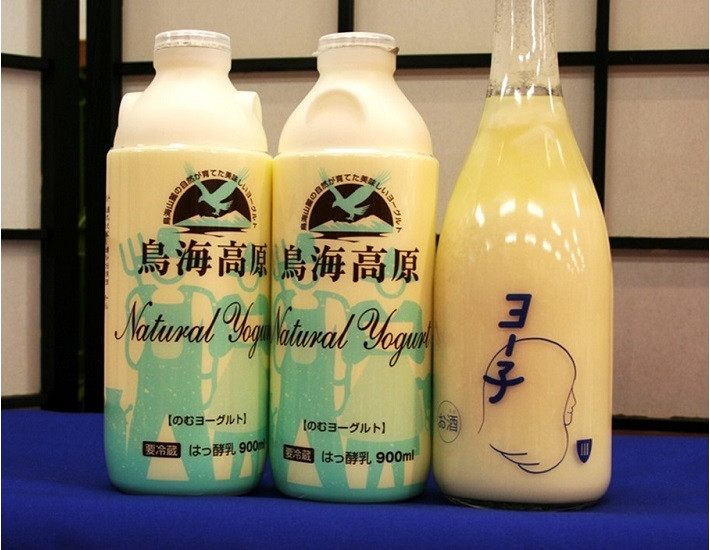 Sa0053 超濃厚 鳥海高原飲むヨーグルト とヨーグルトリキュール ヨー子 セット 山形県酒田市 ふるさと納税 ふるさとチョイス