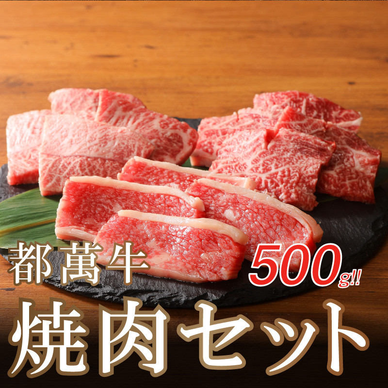 K02 0003 都萬牛焼肉セット500g 宮崎県木城町 ふるさと納税 ふるさとチョイス