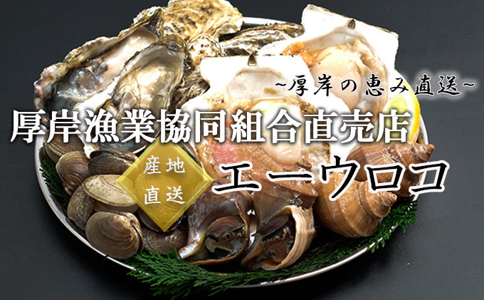 北海道産 超特大 干し開きめんめ（1枚入）×2 [№5863-0497] - 北海道