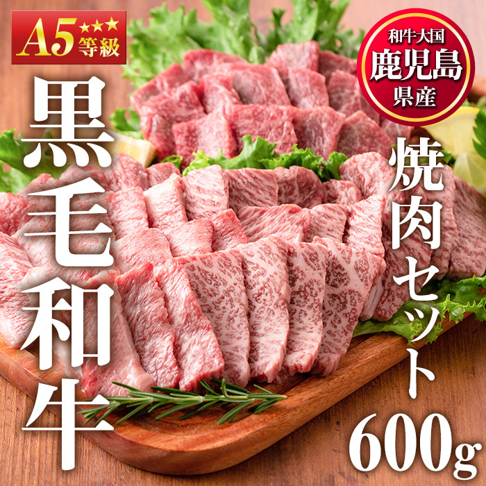 No.507 ＜年内配送可＞A5等級！鹿児島県産黒毛和牛焼肉セット(計600g・霜降り焼肉200g×2P、赤身焼肉200g×1P) 濃厚な霜降りと、味わい深い赤身を贅沢に食べ比べ！【カミチク】  - 鹿児島県日置市｜ふるさとチョイス - ふるさと納税サイト