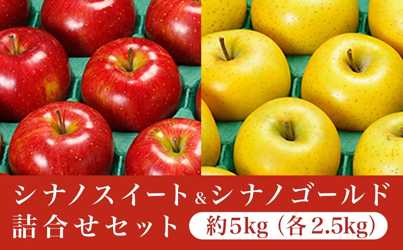 りんご 5kg 長野産 黄金りんご 林檎 ご家庭用 シナノゴールド 国華園 14～20玉 フルーツ食品