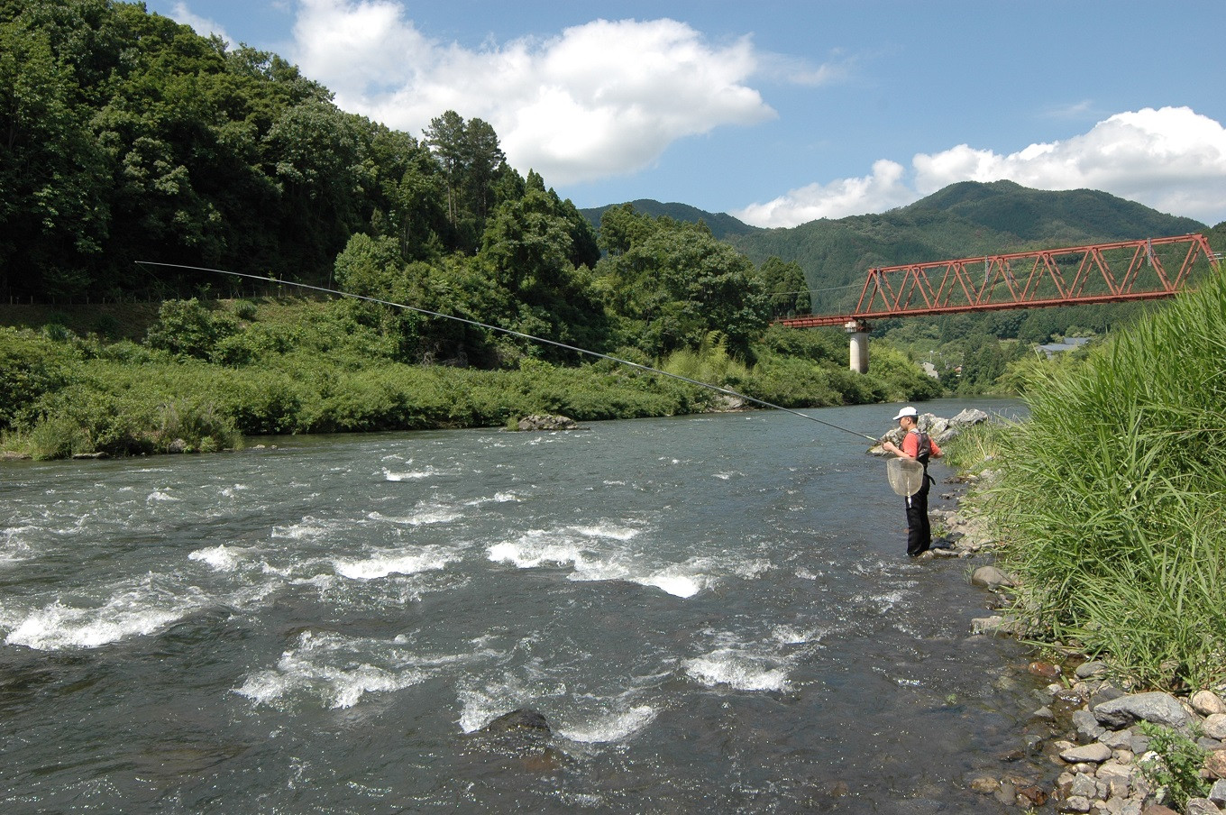 京丹波町の夏といえば、なんといっても和知川の鮎。