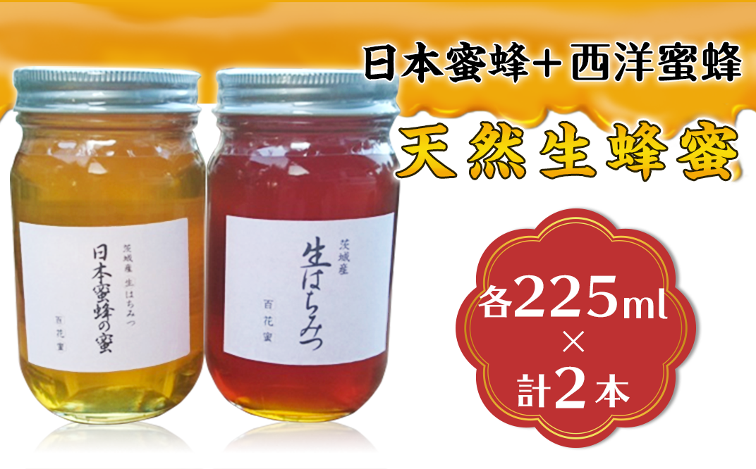 52-04天然生蜂蜜（日本蜜蜂と西洋蜜蜂） - 茨城県下妻市｜ふるさと