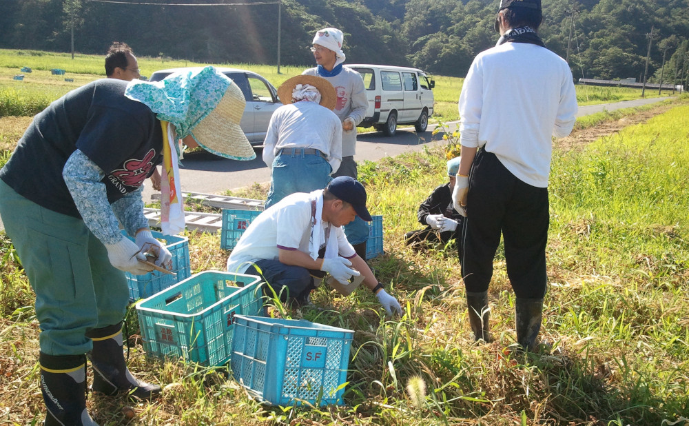 写真