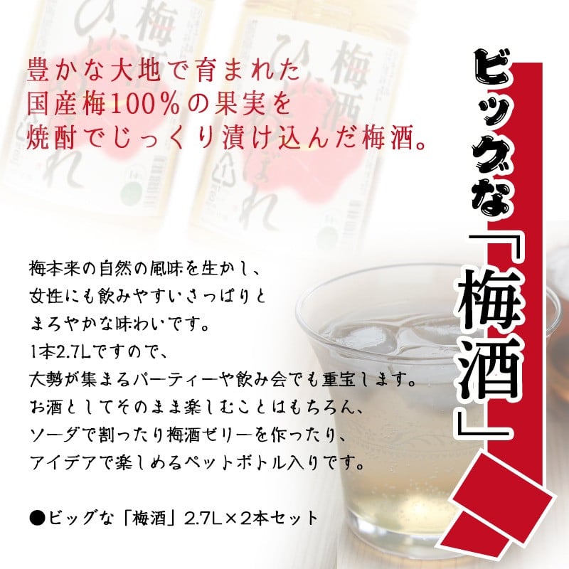 代引き人気 ふるさと納税 W-2226 濃厚な味わい 梅酒2本 鹿児島県垂水市 materialworldblog.com