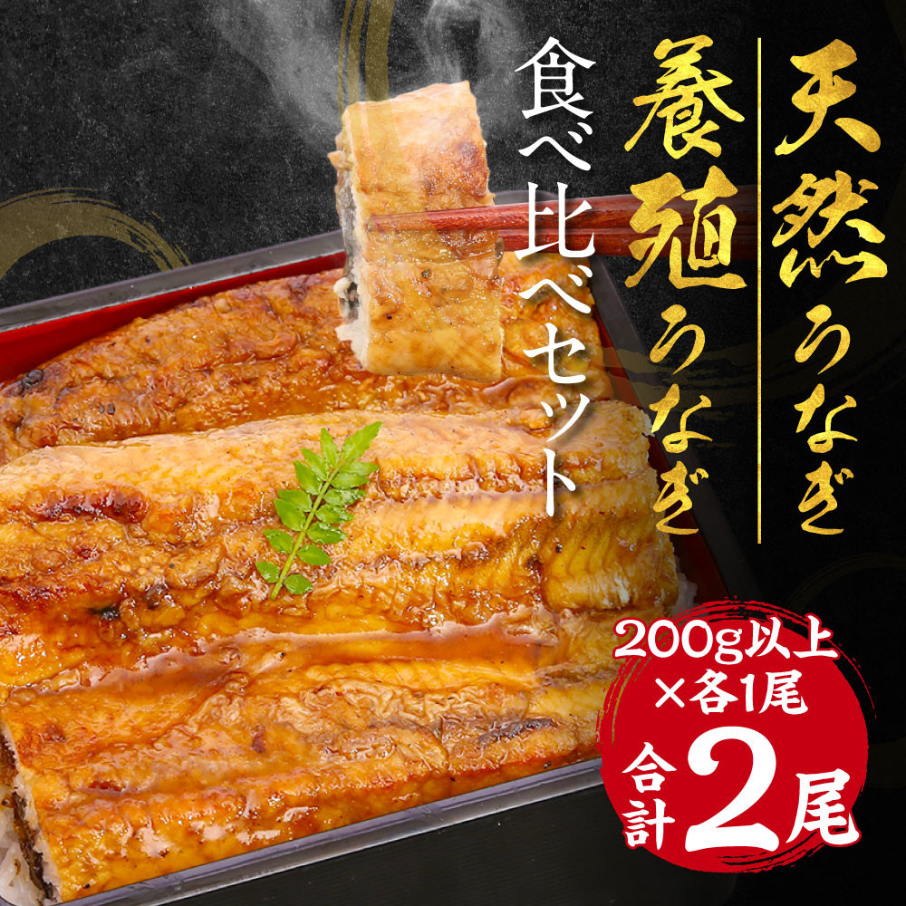 天然うなぎと養殖うなぎの食べ比べ 0g以上 2尾 合計400g以上 熊本県八代市 ふるさと納税 ふるさとチョイス