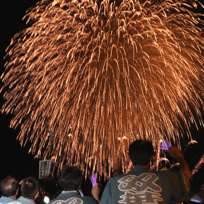 プライベート花火 おぢや産花火 打ち上げプラン ５号玉 新潟県小千谷市 ふるさと納税 ふるさとチョイス