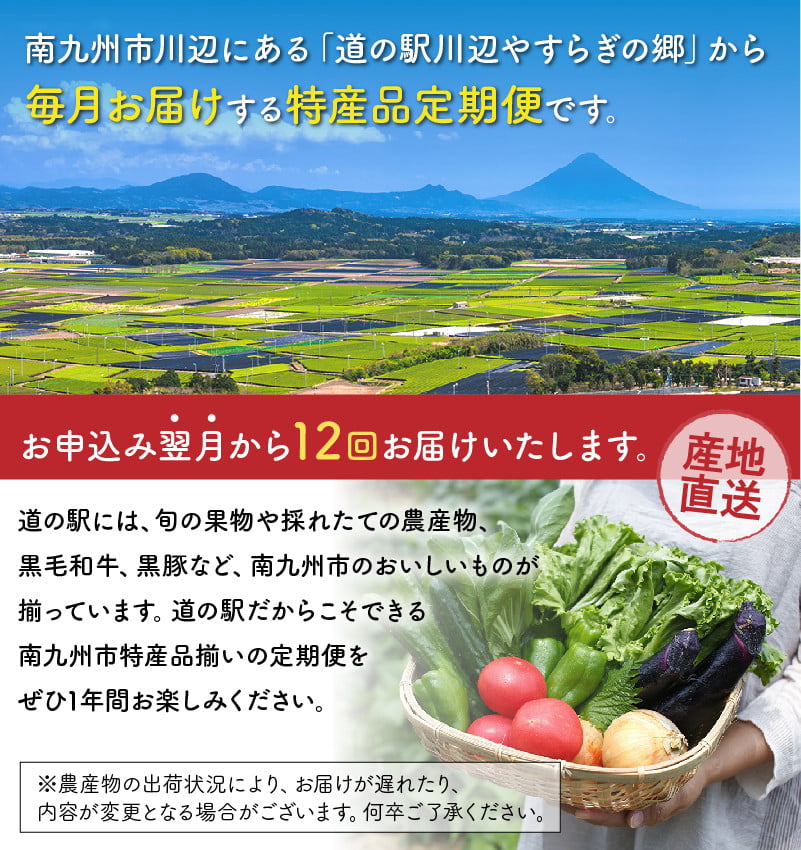 全12回】道の駅からお届け!特産品定期便Ⅱ 013-14 - 鹿児島県南九州市｜ふるさとチョイス - ふるさと納税サイト