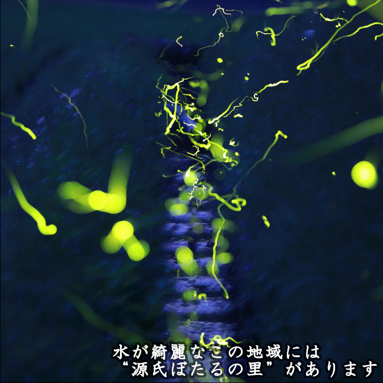 いすみ米を生む『きれいな水』。季節には沢山のホタルが飛び交います。