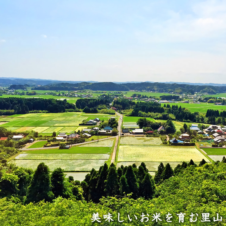 千葉三大米である“いすみ米”は豊かな里山で育ちます