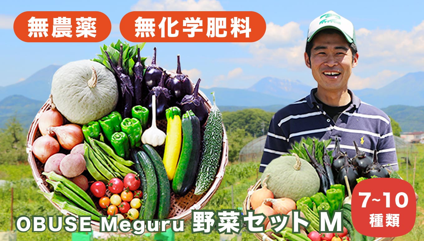 自然の恵みで育てた体に優しい旬の有機野菜セット