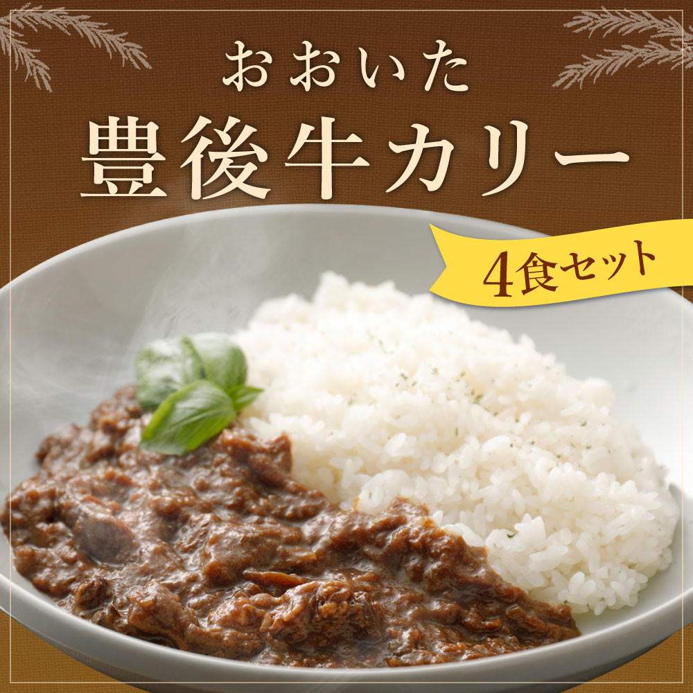 カリー　豊後牛　013-307　大分県豊後大野市｜ふるさとチョイス　計800g　おおいた　カレー　レトルト　4食　セット　ふるさと納税サイト