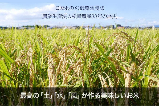 こだわりの低農薬農法、松幸農産農産33年の歴史