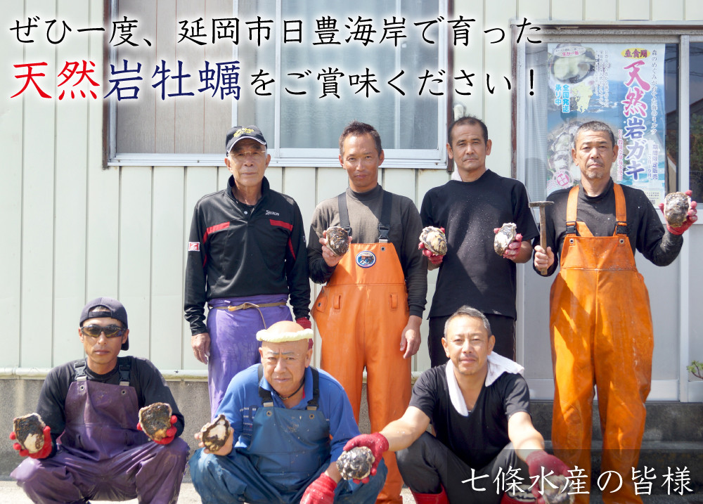 延岡産天然岩牡蠣（生食用）3kg（2024年4月1日から発送開始） - 宮崎県