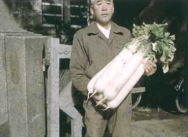 昭和29年頃撮影