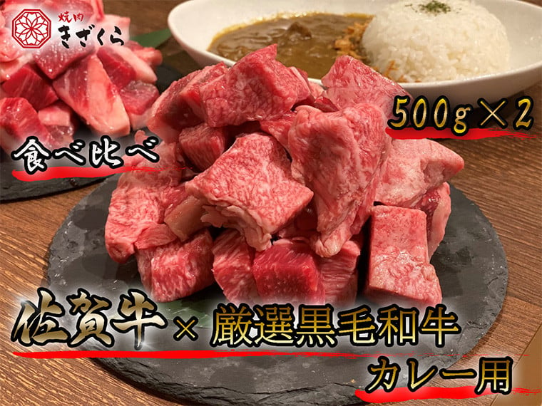 Dx009 佐賀牛 厳選黒毛和牛 カレー用食べ比べ 佐賀県みやき町 ふるさと納税 ふるさとチョイス