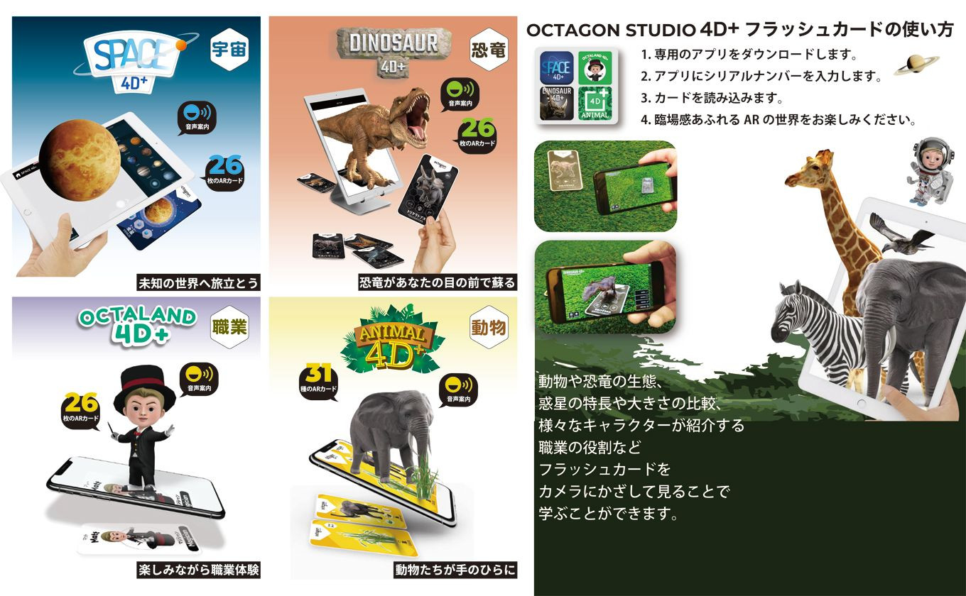Octagon Studio 4d フラッシュカード 4種アソートパッケージ 0181 埼玉県深谷市 ふるさと納税 ふるさとチョイス