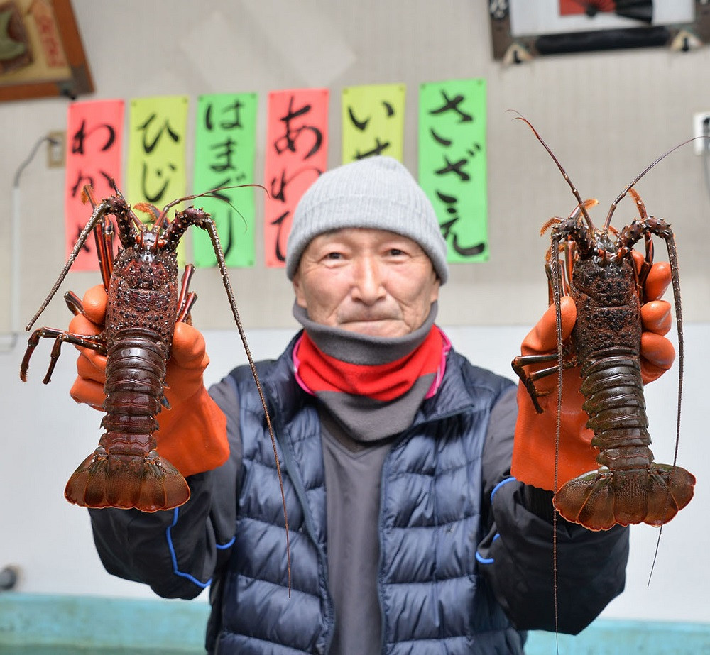 5 74 関口商店の活き伊勢海老1 5kg 約4尾 7尾 千葉県鴨川市 ふるさと納税 ふるさとチョイス