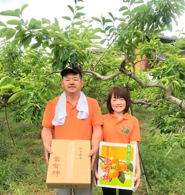 柿の王様] 福井農園の富有柿ご家庭用3kg [0597] - 岐阜県本巣市｜ふるさとチョイス - ふるさと納税サイト