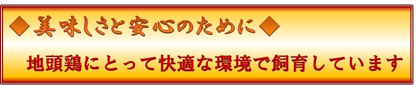 天気 日向 市