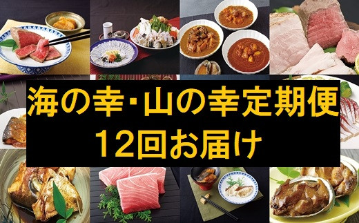 S904 定期便 海の幸 山の幸美味しい定期便 12回お届け 長崎県佐世保市 ふるさと納税 ふるさとチョイス