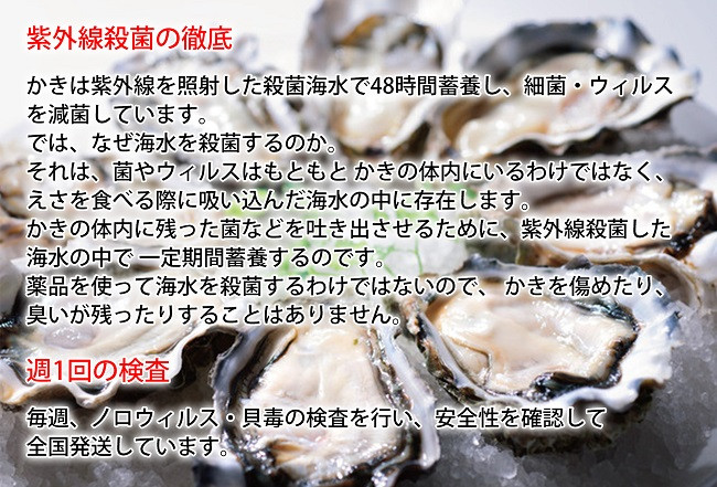 №5863-0399]【厚岸漁協直売店特製】かきガンガン焼Lセット - 北海道 