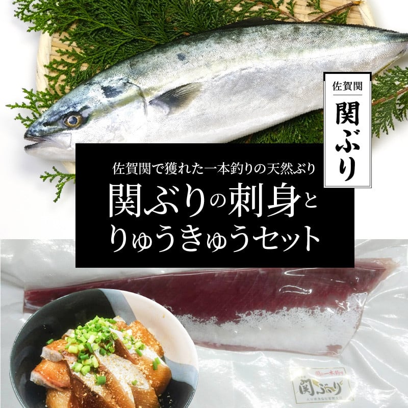 22年レディースファッション福袋特集 ふるさと納税 旬のお魚セット 大分県大分市 E217 大分県大分市 関のりゅうきゅうセット 魚介類 海産物 Aptora Com