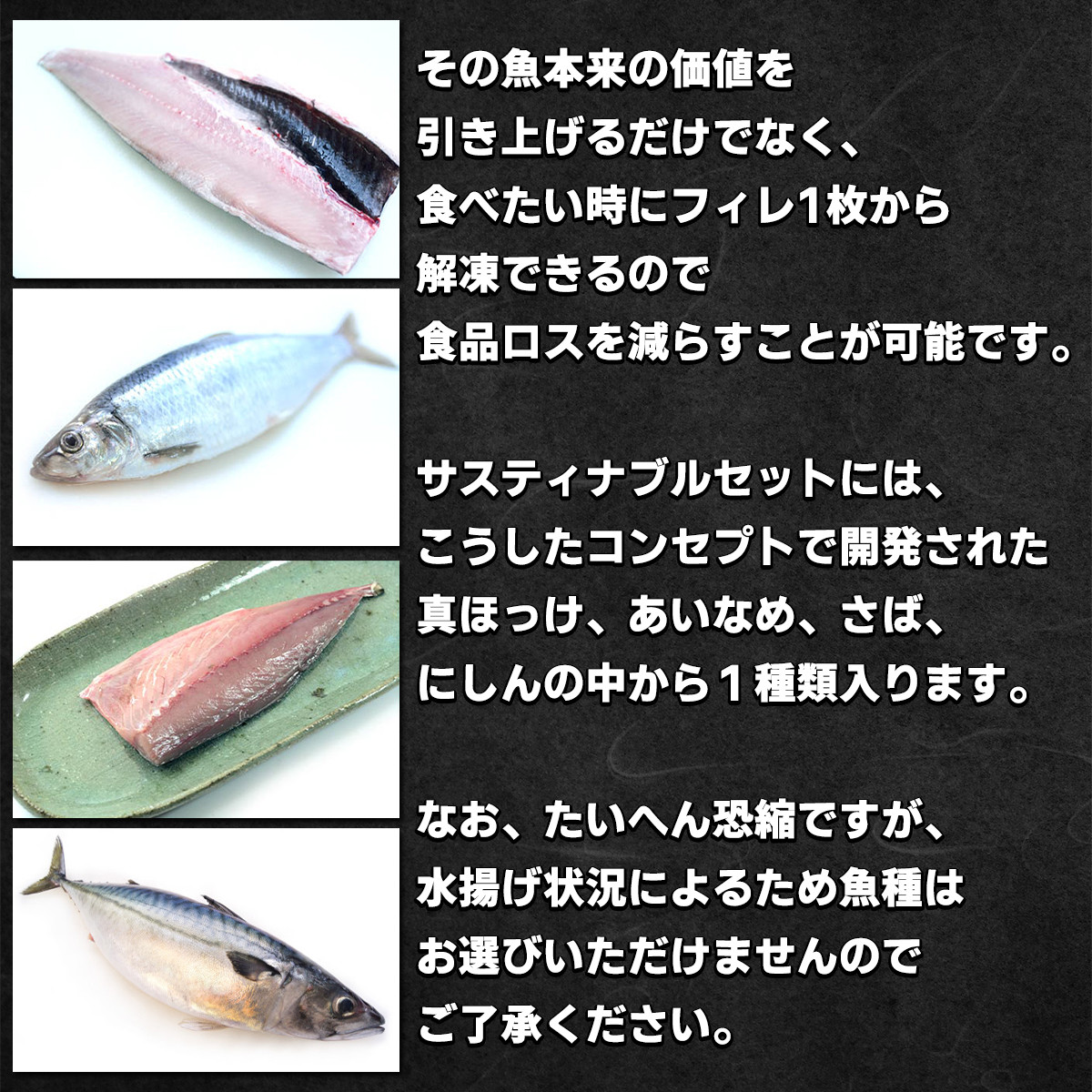 水産資源持続化計画 サスティナブルセット 5品 約1 5 2kg 北海道鹿部町 ふるさと納税 ふるさとチョイス