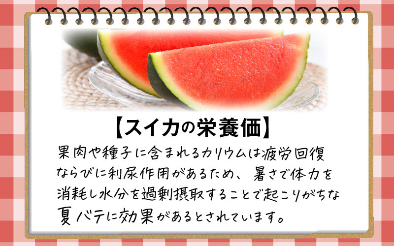 シャリシャリ甘いっ 甘い東尋坊黒皮種無しスイカ 6 10kg 1玉 先行予約 A 福井県坂井市 ふるさと納税 ふるさとチョイス