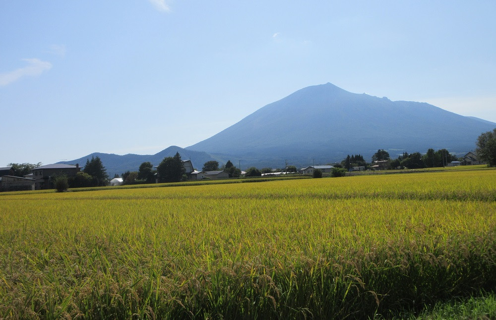 せの畑の田園風景