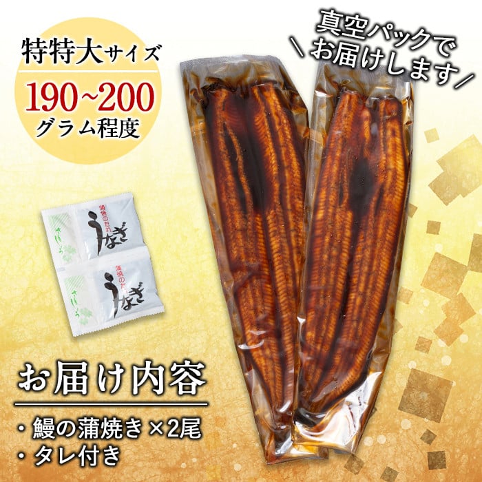 a5-160 【ギフト対応】くすだ屋の極上うなぎ(特特大)2尾＜計380g以上＞ - 志布志市志布志市 | ふるさと納税 [ふるさとチョイス]