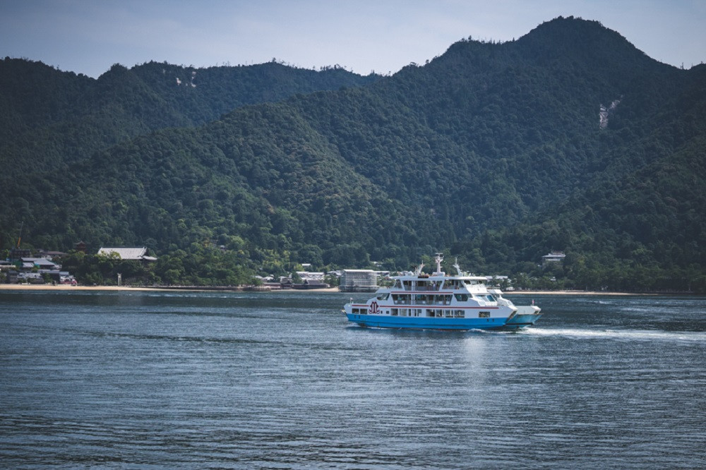 写真