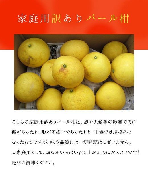 64 52 あいあい 家庭用 訳ありパール柑 約5ｋｇ 熊本県宇土市 ふるさと納税 ふるさとチョイス