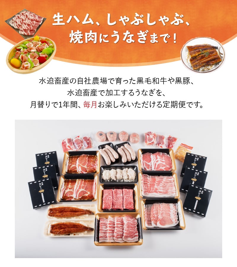 ふるさと納税 黒豚 黒毛和牛 うなぎ 毎月お届け1年定期便 027-39 鹿児島県南九州市 最大84％オフ！