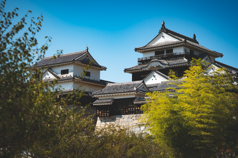 撮影地:松山城