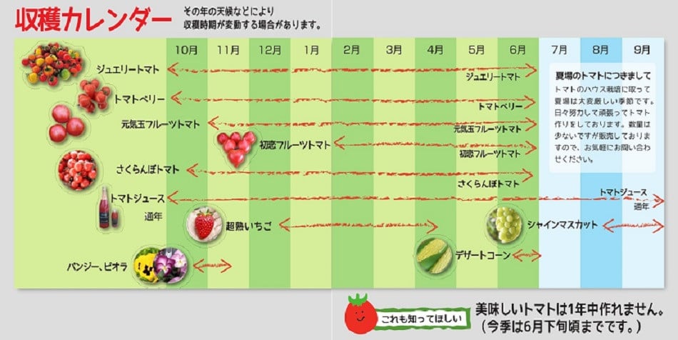 お試し】期間限定！プレミアムフルーツトマト H004-044 - 愛知県碧南市｜ふるさとチョイス - ふるさと納税サイト