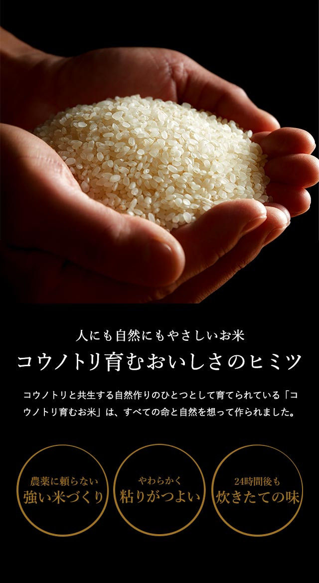 新規購入 但馬醸造 コウノトリ育むお米の純米酢 360ml 12本e お届けまで14日ほどかかります www.plantan.co.jp