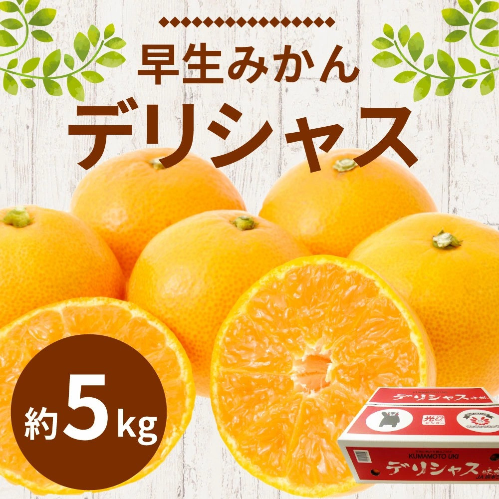 早生みかん デリシャス 約5kg 果物 フルーツ 柑橘 宇城彩館 11月上旬 順次発送予定 熊本県宇城市 ふるさと納税 ふるさとチョイス