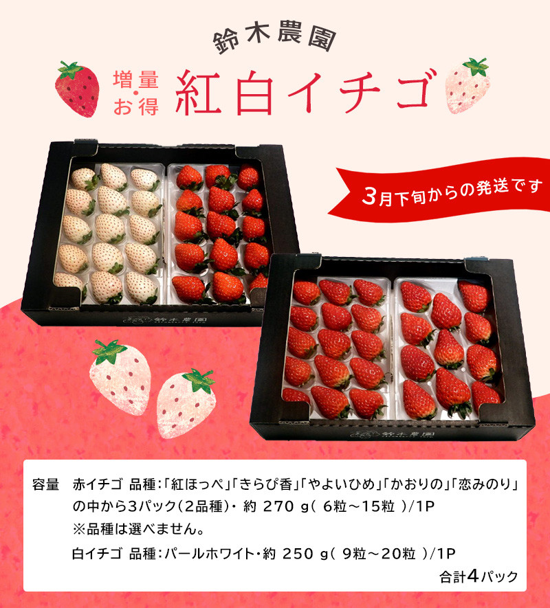 赤は「紅ほっぺ」など5種、白は「パールホワイト」の紅白イチゴセット♪
