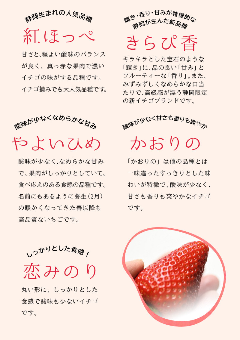 赤イチゴは、紅ほっぺ・きらぴ香・やよいひめ・かおりの・恋みのり、です