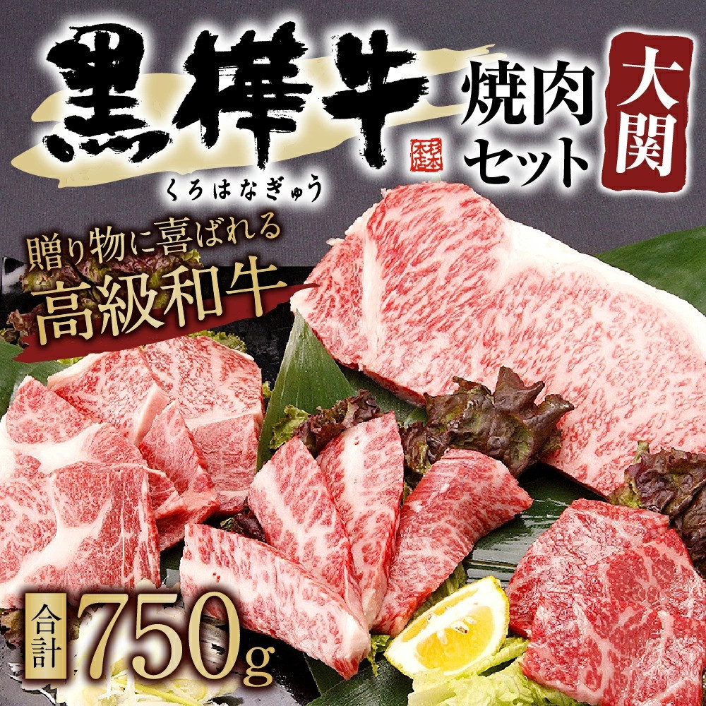 黒樺牛 焼肉セット大関 合計750g 黒毛和牛 焼き肉 盛り合わせ 牛肉 熊本県宇城市 ふるさと納税 ふるさとチョイス