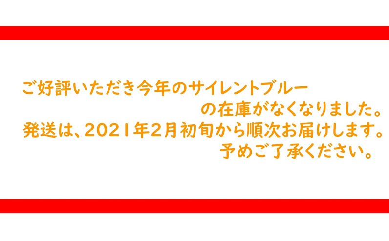 数量限定 サイレントブルー タイタック 大分県佐伯市 ふるさと納税 ふるさとチョイス