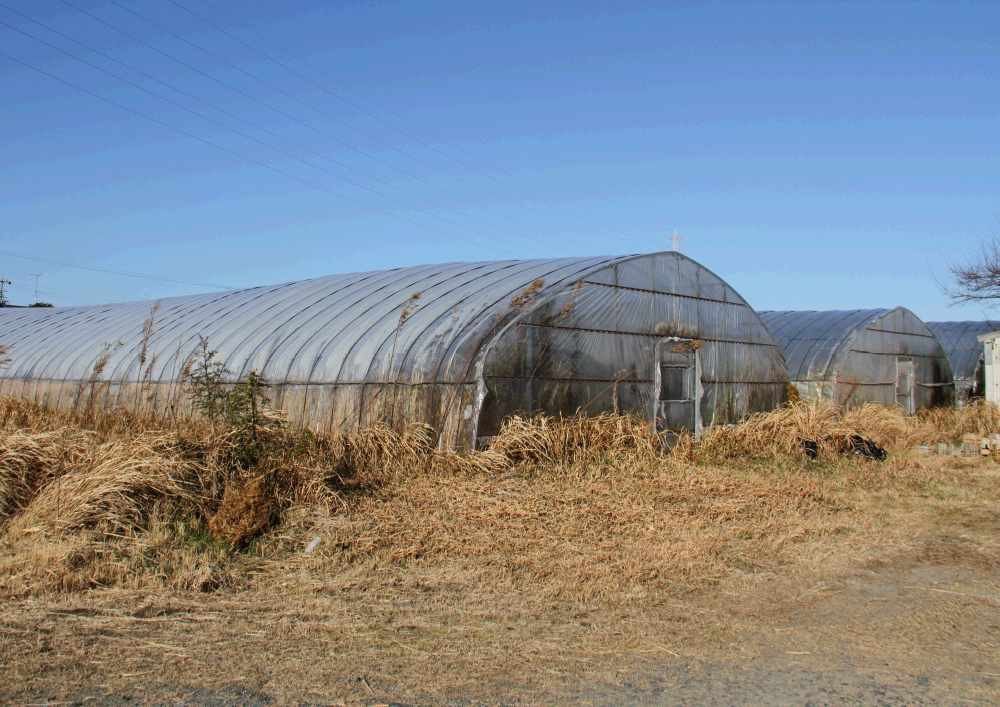 同じ敷地内にあるうなぎの養殖場で育ったうなぎを中心に使っています。
