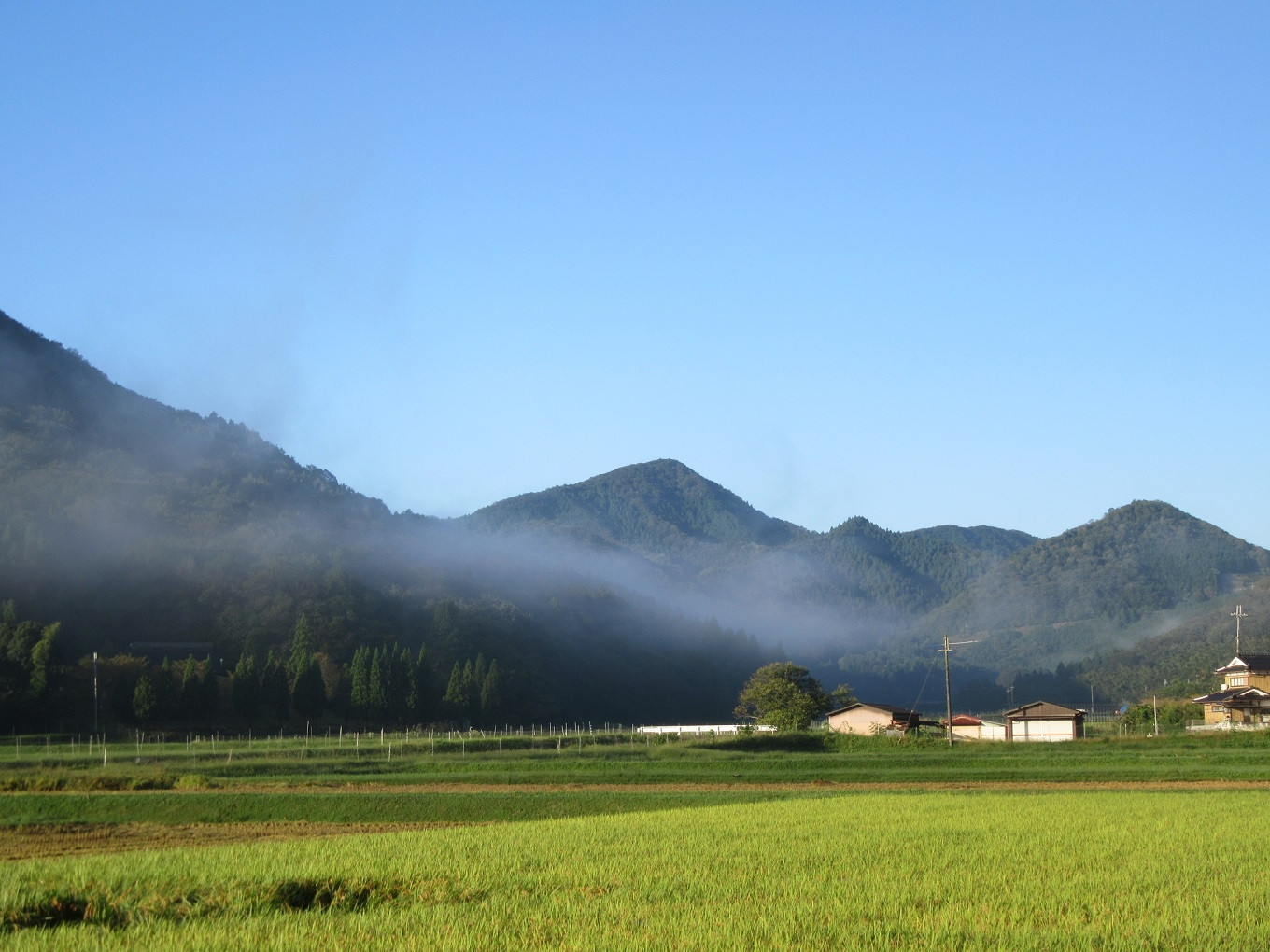 京都府のほぼ中央部に位置する京丹波町は、丹波黒大豆の名産地です。