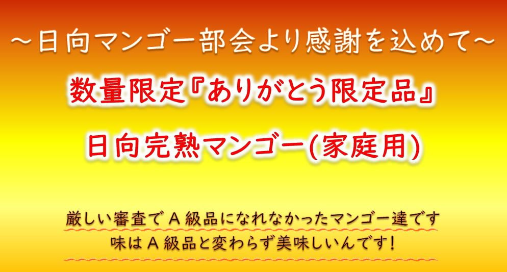 2023年夏発送】先行予約「ありがとう限定品」◇宮崎◇日向完熟マンゴー2Ｌ×2玉(家庭用) [10-80] - 宮崎県日向市｜ふるさとチョイス -  ふるさと納税サイト