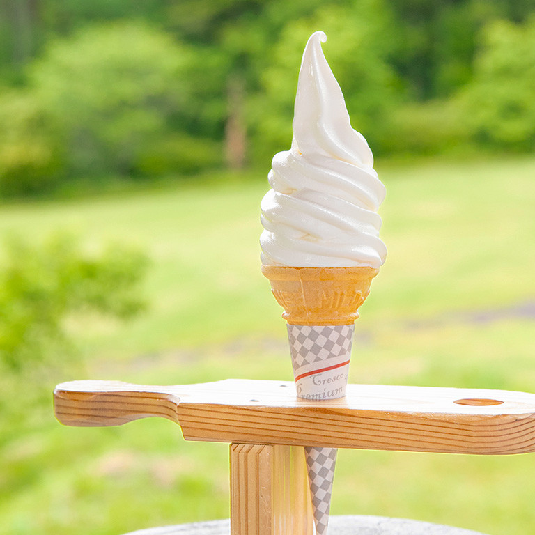 生ソフトクリームアイス 信州りんごアイス 8個セット 長野県根羽村 ふるさと納税 ふるさとチョイス